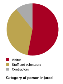 Pie Chart showing category of person injured