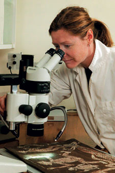 Nicki Smith peers into a microscope, which lights up a section of an Aboriginal bark painting.