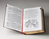 An open bible