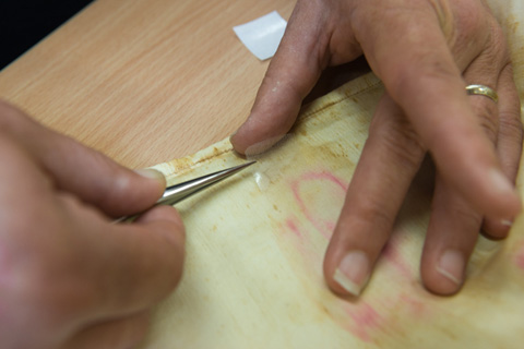 The silk repair is positioned over the back of the weak area on the sleeve. A piece of silicone release film is positioned over the silk backing.