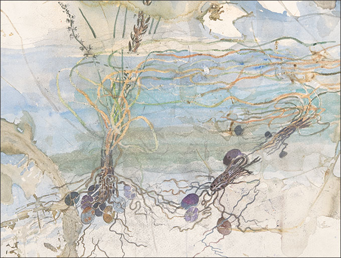 Page from the book featuring an image.