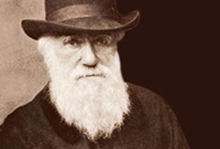Darwin exhibition Darwin exhibition