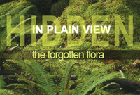 Hidden in Plain View exhibition Hidden in Plain View exhibition
