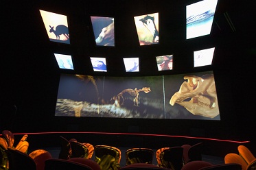 Interior view of a darkened movie theatre showing rear view of several people seated in front of a wide, narrow screen at eye level and nine rectangular screens, arranged in two rows, above. The screens show images including a silhouetted kangaroo, an emu head and the skeleton of a large mammal.