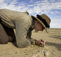Researcher examining the ground in the desert.