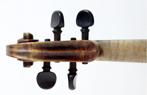 Rear view of violin pegbox.