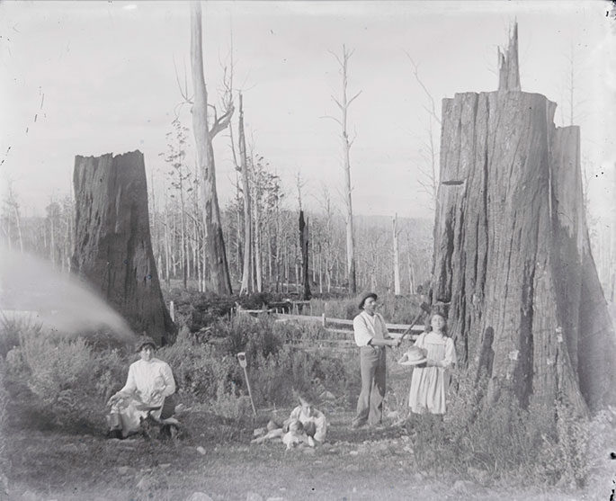 Family shot posing outside between two large tree stumps. A woman sits to the left of the frame, a young boy lies down at centre, alongside a dog. To the right, a man poses with an axe resting at the base of a towering tree stum,p, and a young girl holds a large sun hat at her side.
