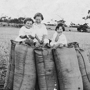 1916: Federal–state agreement for soldier settlement