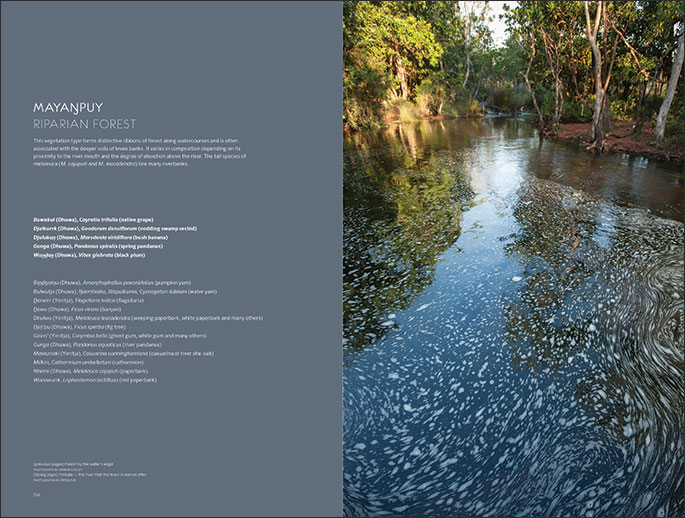 Page from the book featuring an image and text.