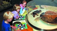 School children ponder the platypus story in Tangled Destinies