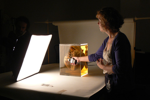Taking a light-meter reading.