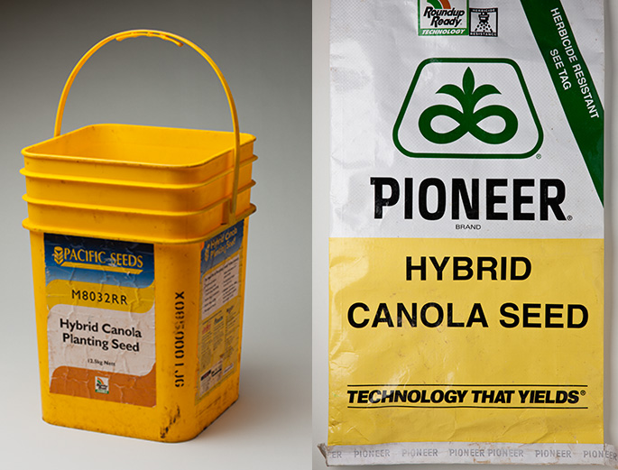 Pictured left is a yellow bucket labelled 'Pacific Seeds Hybrid Canola Planting Seed'. Pictured right is a sack labelled 'Pioneer Hybrid Canola Seed, Technology that Yields'.