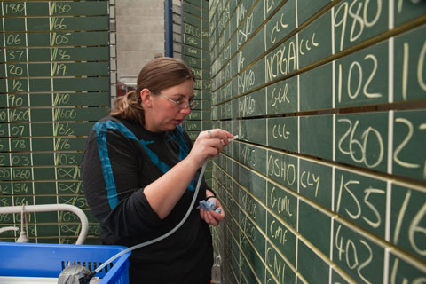 A photograph of a trading board with lists of stock prices and their codes, written in chalk.