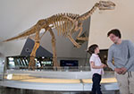 Muttaburrasaurus two boys stand in front of a dinosaur replica