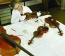 Conservator Patrya Kay surveying the stringed instruments