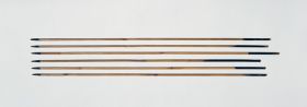 Six arrows made of light coloured bamboo cane, each with a long blunt point made of hard, dark wood that is set into the shaft with a spike.