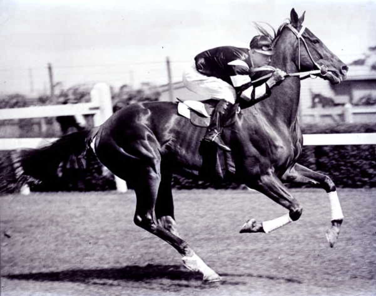 Side profile of a jockey riding a racehorse on a track.