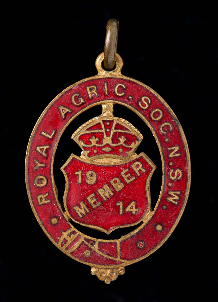 A red and gold oval badge with the words: 'Royal Agric. Soc. N.SW.' around the edge and 'Member 1914' in the middle. - click to view larger image