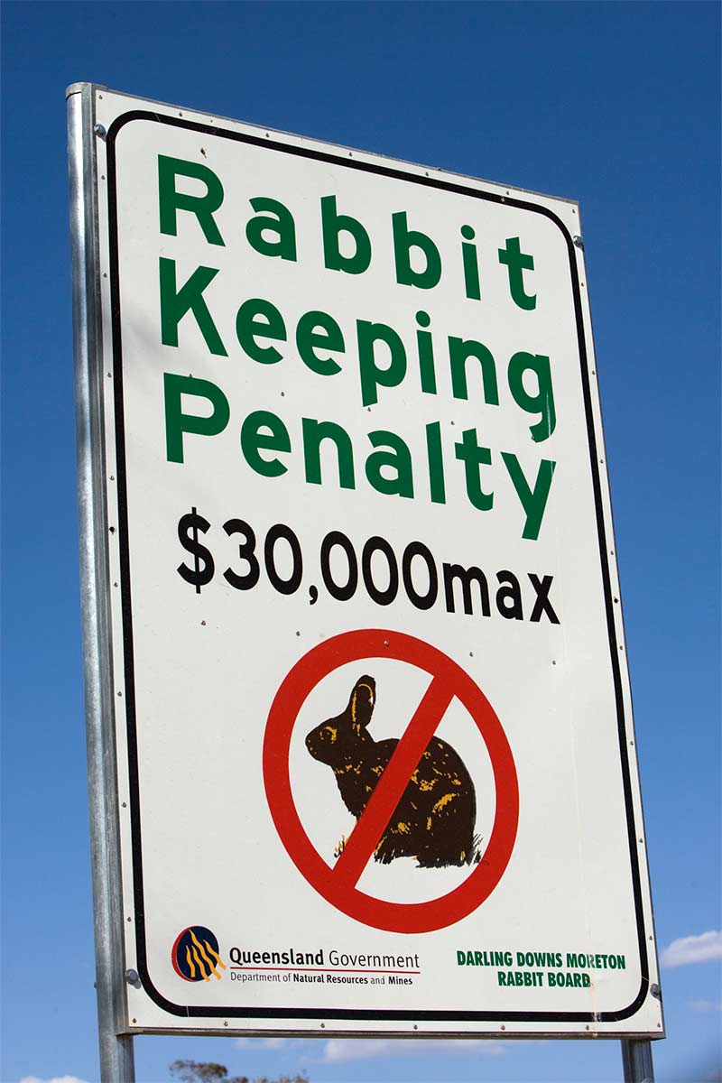 Rabbit penalty road sign near Hebel, NSW, 2007 - click to view larger image