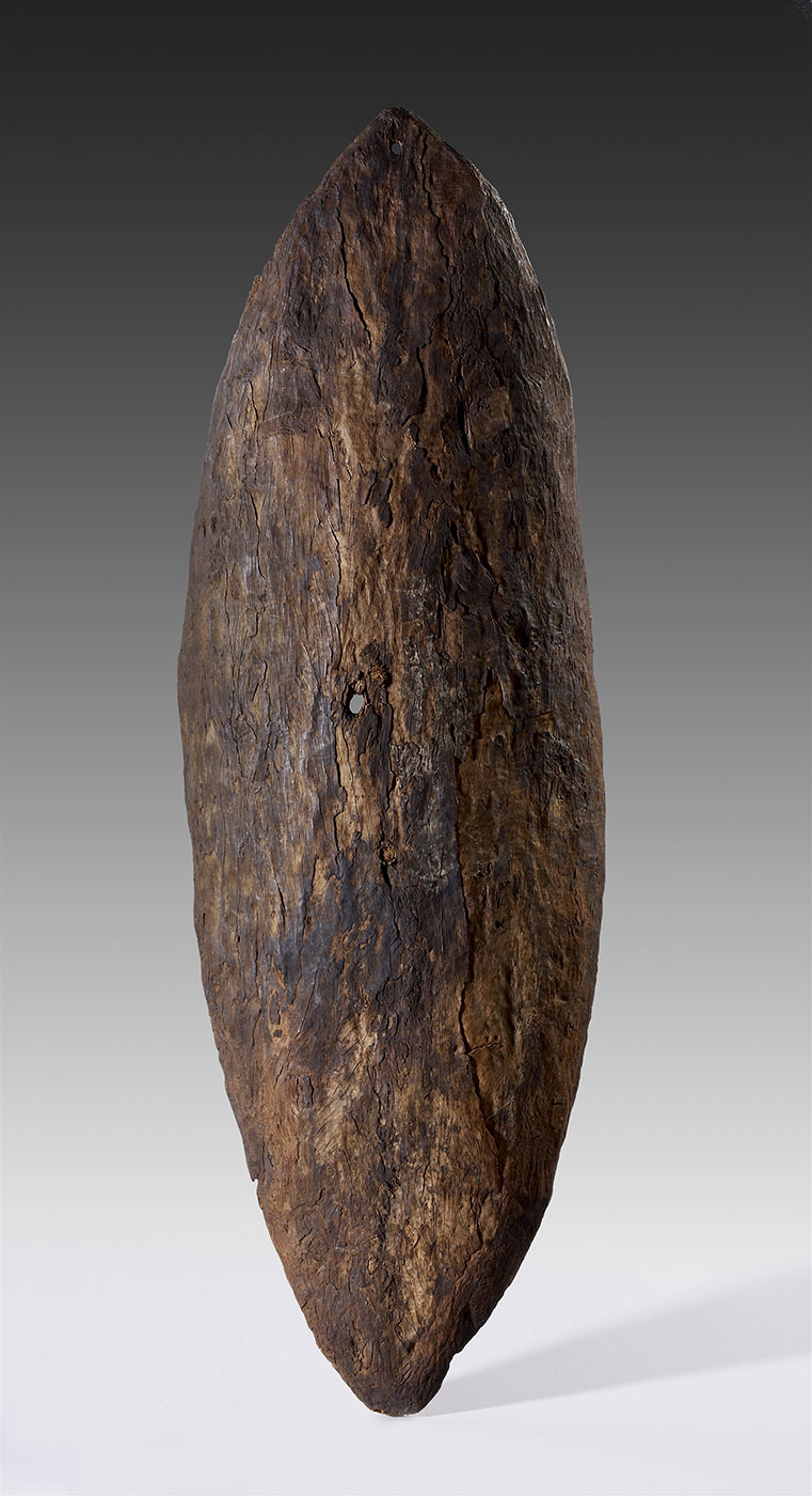 Elongated shield made from the bark of red mangrove (Rhizophora stylosa) with pointed ends, and slightly convex. The bark has a rough surface and appears blackened in places. - click to view larger image