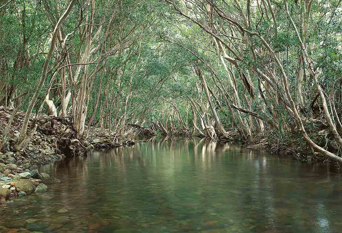 Landscape photo showing a waterway surrounded by a pebbly shore and trees.