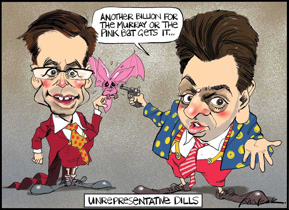 A colour cartoon depicting Steve Fielding and Nick Xenophon in clown clothing. Steve Fielding wears a red coat, red shorts, yellow and red spotted tie and outsized clown shoes. A pink bat with outstretched wings is sitting on his extended left forefinger. Nick Xenophon wears a blue and yellow spotted jacket, red shorts, red and yellow suspenders, white and red striped tie and outsized clown shoes. He points a gun at the pink bat and says 'Another billion for the Murray or the pink bat gets it ...'. At the bottom of the cartoon is written 'Unrepresentative Dills'. - click to view larger image