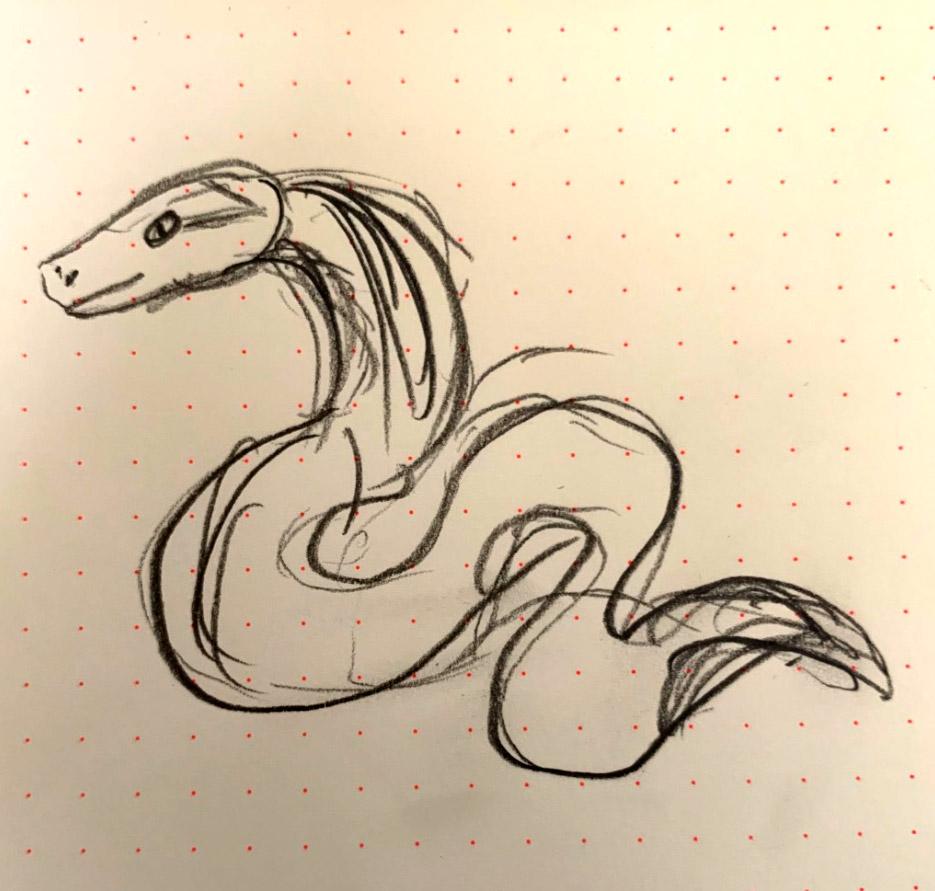 Rough sketch of a snake. - click to view larger image