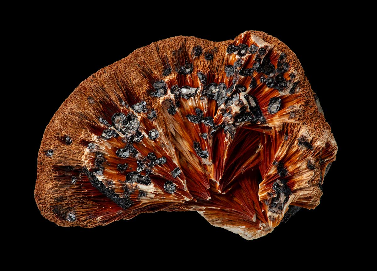 A mineral specimen predominantly shades of browns and red, with small black crystals. - click to view larger image