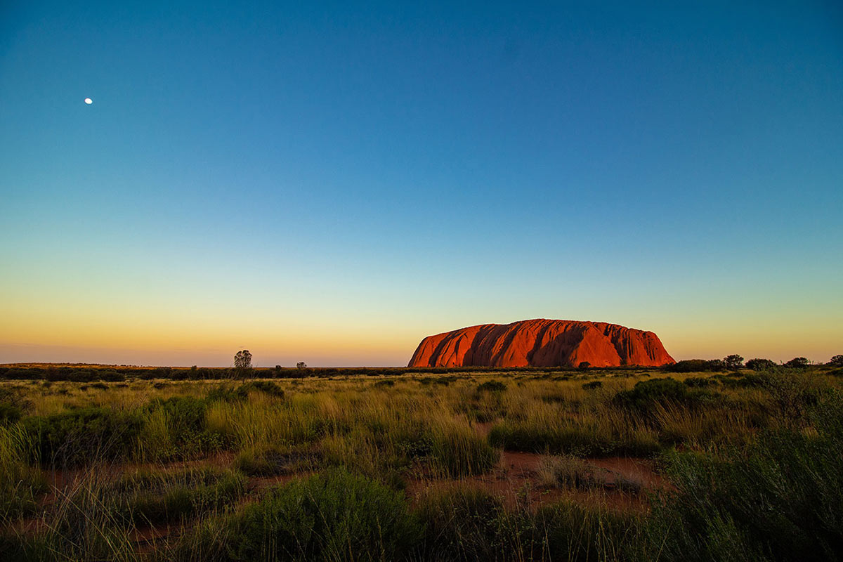 Panorama view of the landscape with Uluru in the distance. - click to view larger image