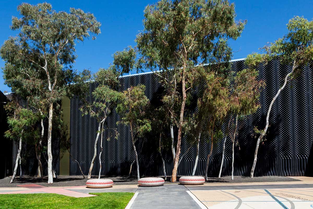  A stand of gum trees in front of a black building, with blue sky behind. - click to view larger image