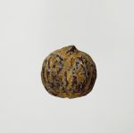 Walnut-shaped nut. Light-brown in colour and badly splintered in places.