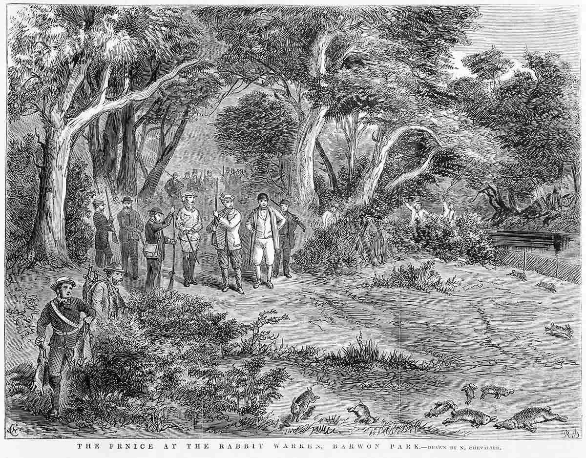 An engraving of hunters and dead rabbits.
