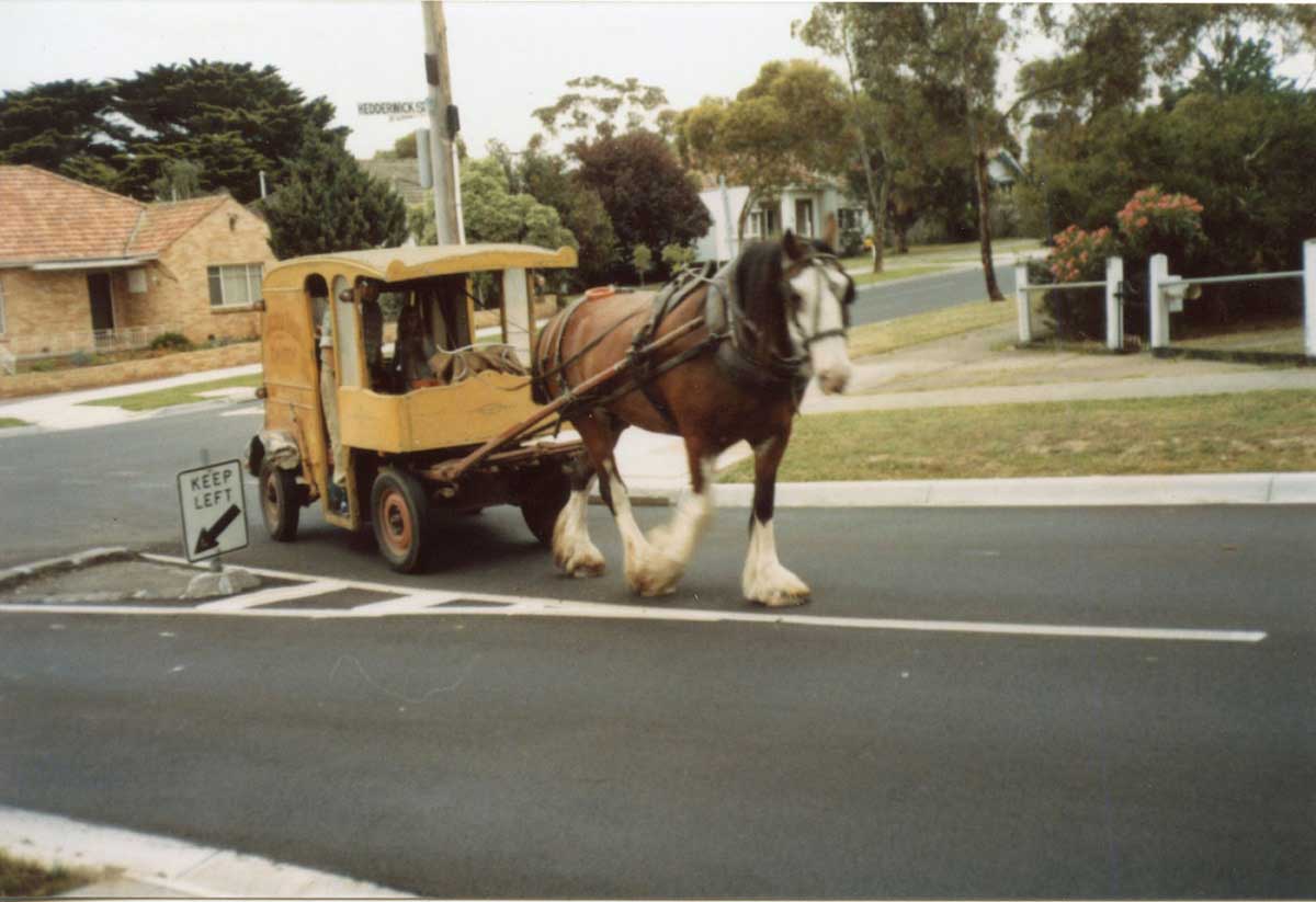 A horsedrawn cart on a suburban street. - click to view larger image