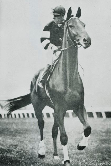 Black and white photo showing a jockey in racing silks riding a horse. - click to view larger image
