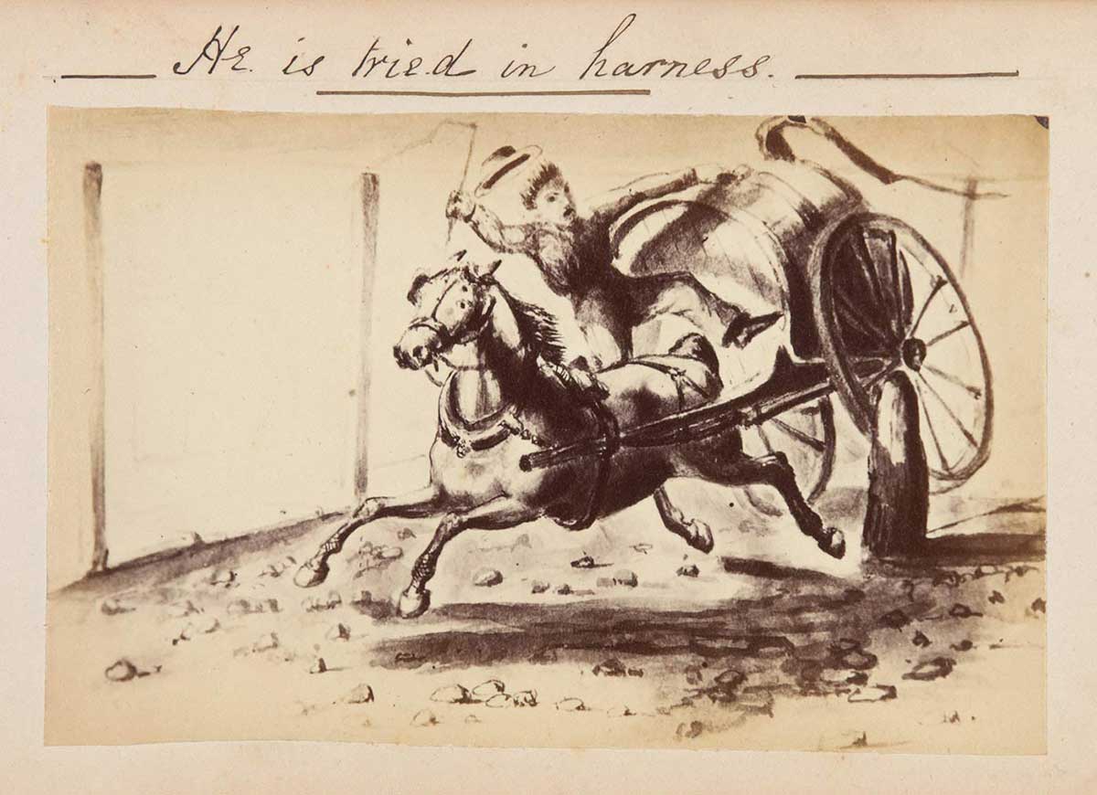 Illustration of a man falling off a cart that is hitched to a galloping horse. There is text at the top that reads 'He is tried in harness'. - click to view larger image