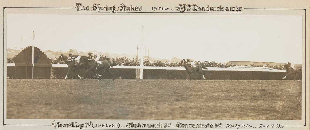 A black and white photo of Phar Lap winning the Spring Stakes, 1930. - click to view larger image
