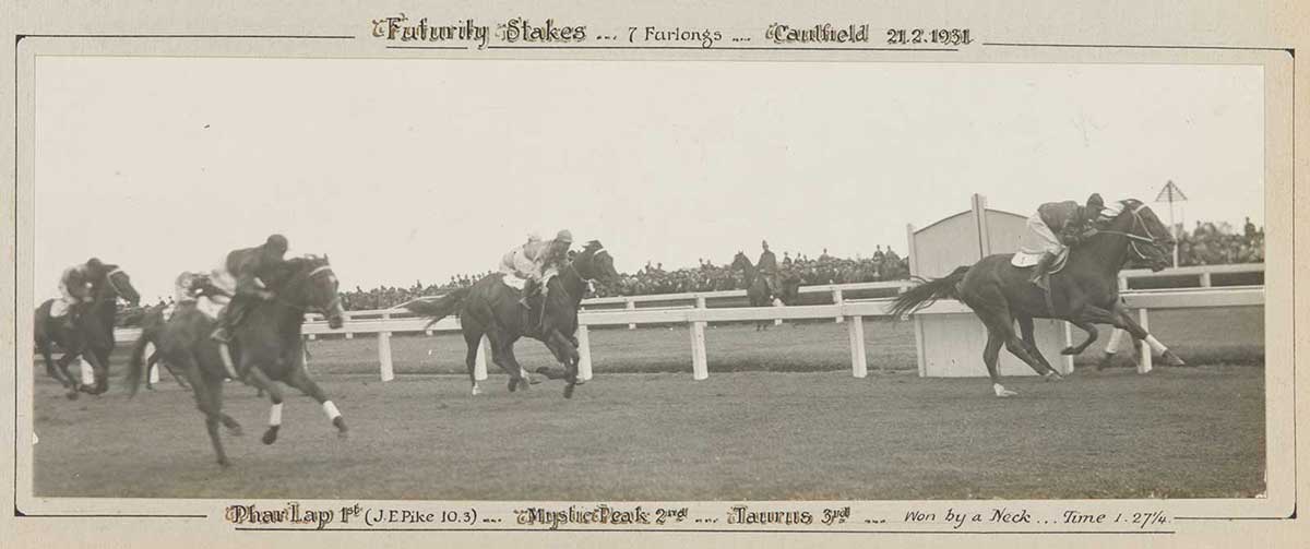 A black and white photo of Phar Lap winning the Futurity Stakes, 1931. - click to view larger image