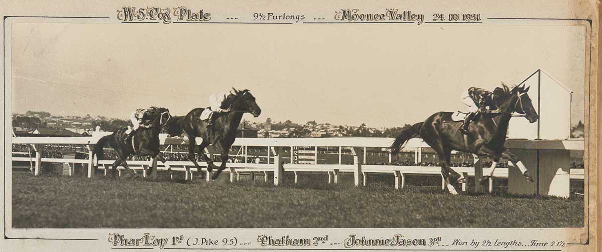 A black and white photo of Phar Lap winning the WS Cox Plate, 1931. - click to view larger image