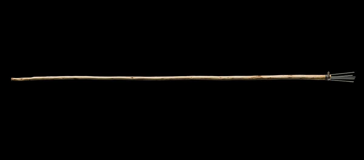 Wooden eel spear with 5 metal prongs. - click to view larger image