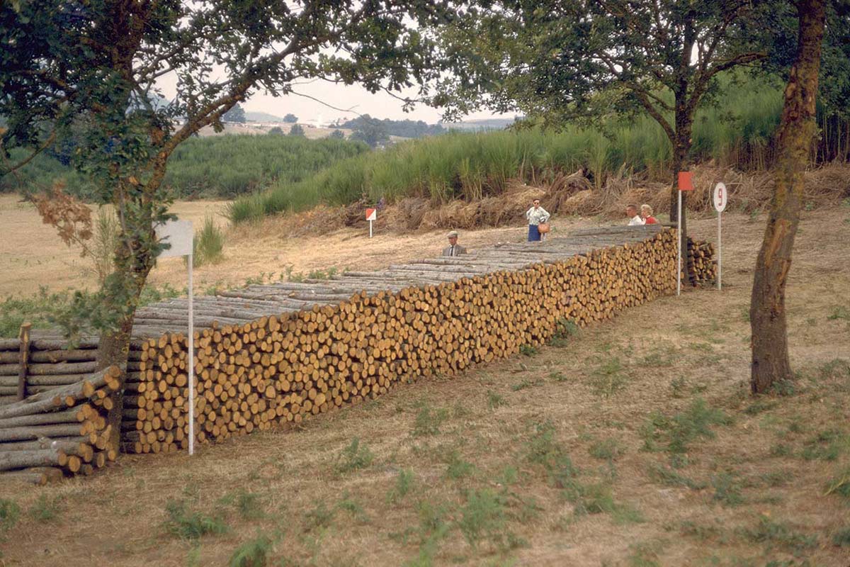 Large pile of logs. - click to view larger image