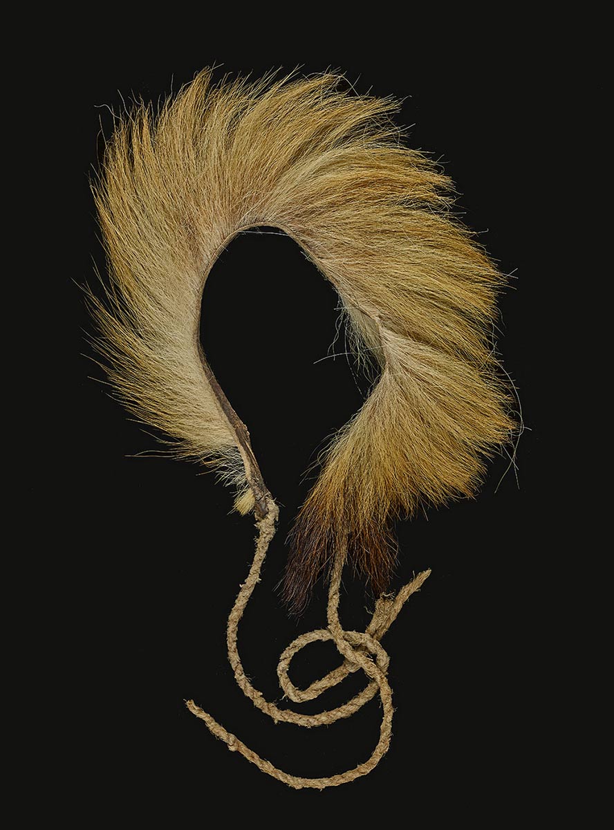Headband made from a dingo tail and twine. - click to view larger image