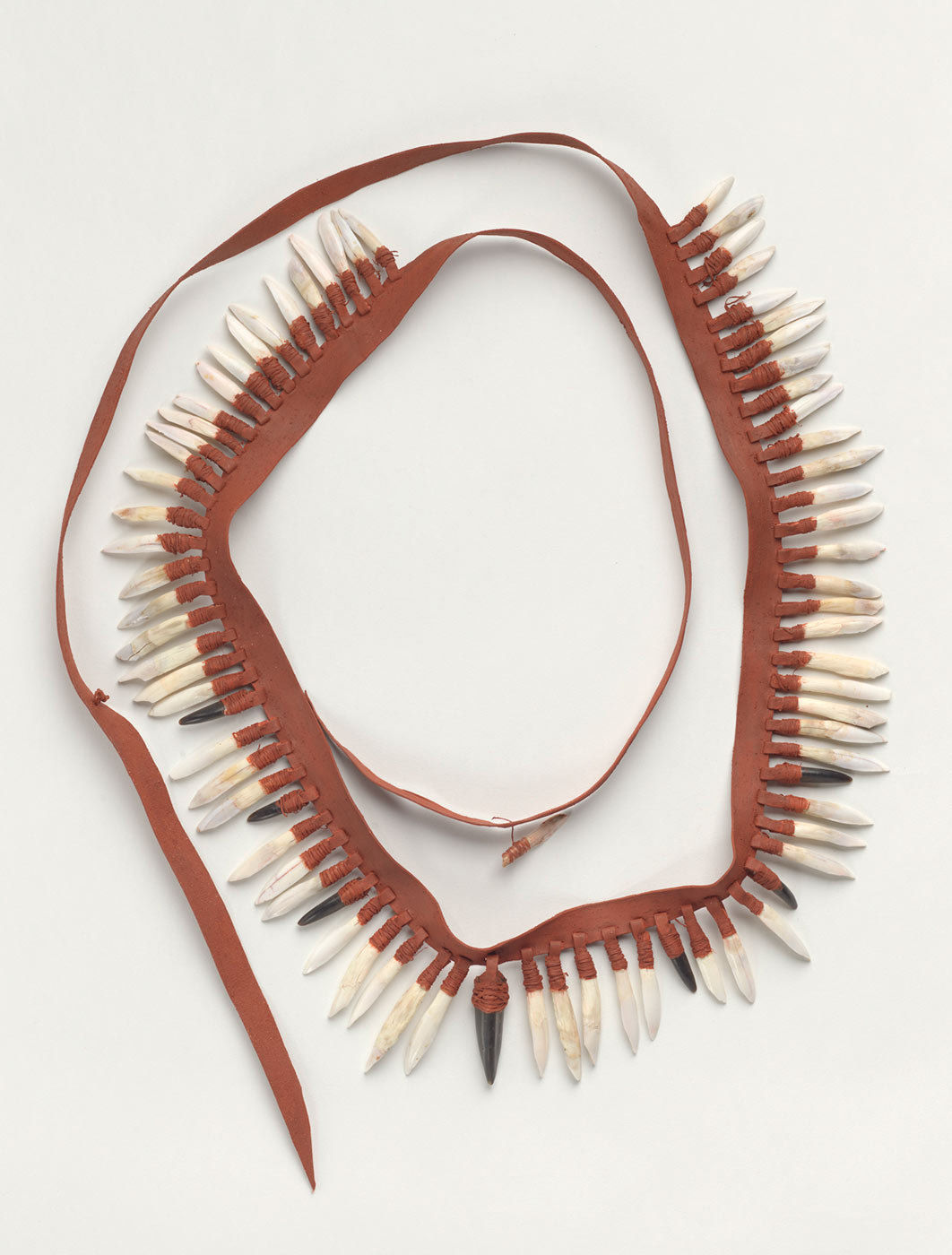A necklace of kangaroo teeth and toes. - click to view larger image