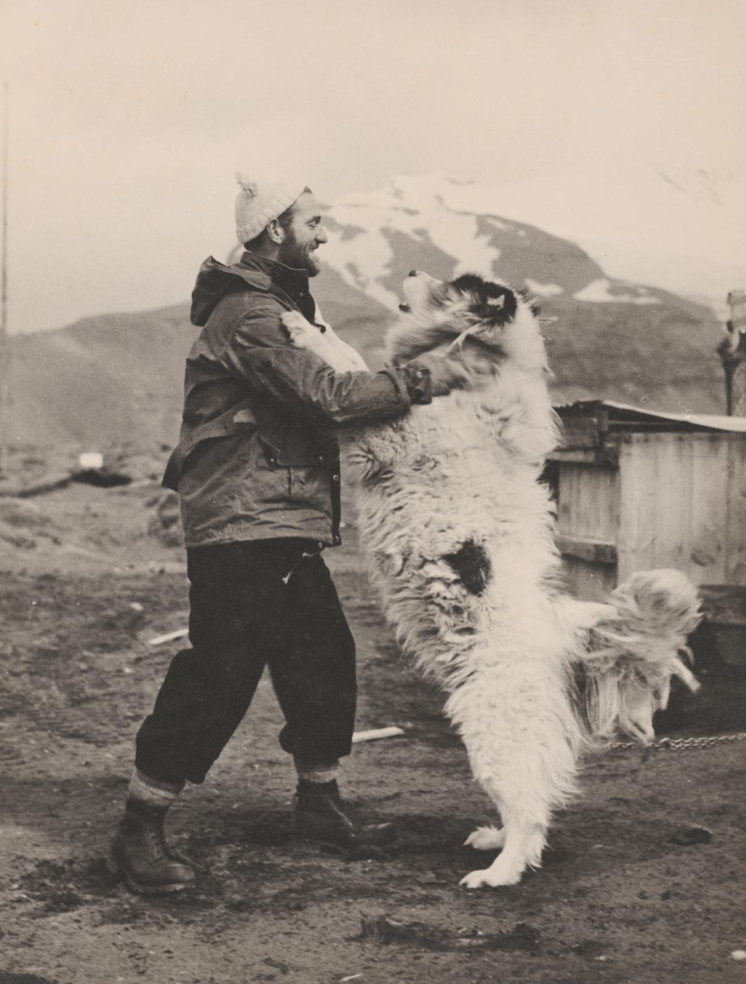 Black-and-white photo of a smiling man with his arms affectionately around a husky that is standing on its hind quarters leaning into the man. - click to view larger image