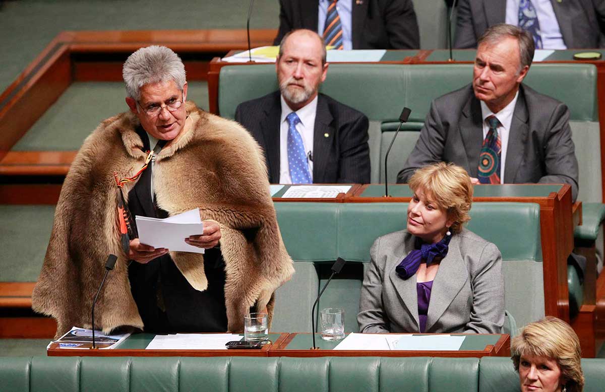 Member of Parliament Ken Wyatt wearing an animal pelt draped over his suit, addresses Parliament.