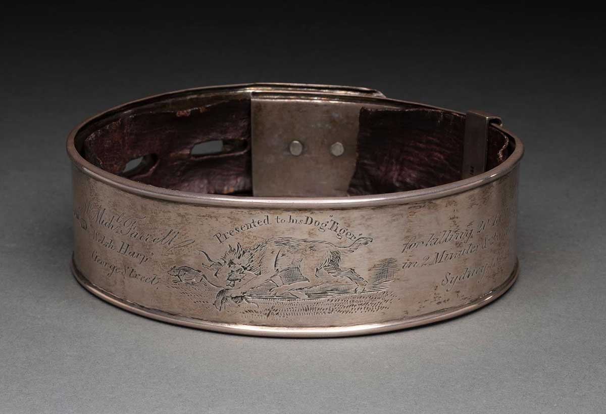 A sterling silver dog collar with a brass padlock and lined with dried brown leather. The collar is engraved with 'Mr. Michl. [sic] Farrell / 
