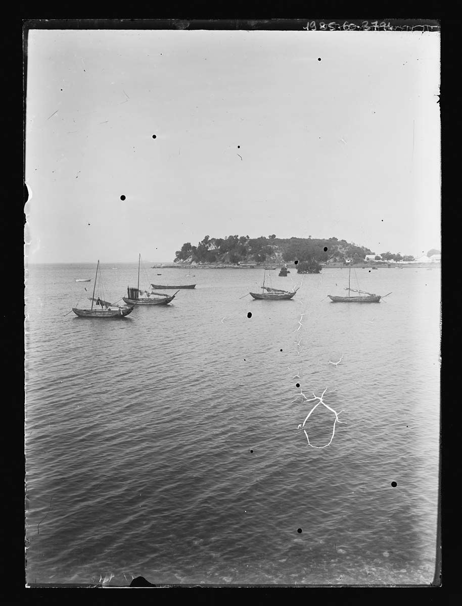 Five boats at anchor near Fort Hill, Darwin, Northern Territory 1905 or 1911. Four of the boats are sailboats and have their sails furled. The fifth boat, behind the others, appears to be a hull and not much more. Fort Hill is in the background; the water has a lightly rippled surface. - click to view larger image