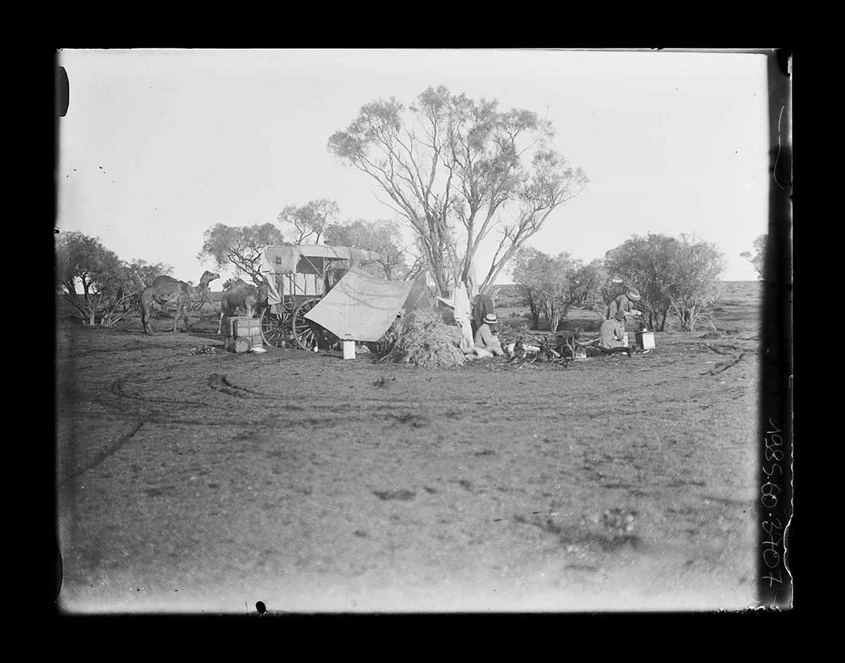 Expedition camp, with Aboriginal man Arrerika, Nell Basedow and Frank Feast, central Australia 1920. A tree is in the centre of the image. A tent is pitched to the left of the tree and a wagon is parked next to the tent. The people in the image are around a campfire to the right of the tree. Two sit while one stands. Two camels stand off to the far left of the image. In the foreground are circular tracks that appear to go around the tree. - click to view larger image