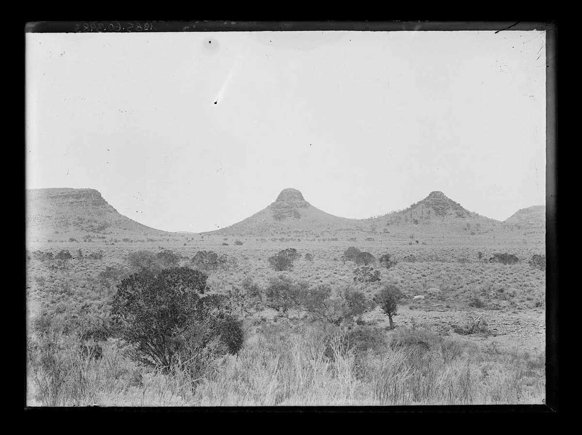 Red Gorge, South Australia 1905 to about 1913. A view across a plain to a range of hills in the distance. In the foreground is tall grass and a single tree to the left. The ground beyond appears to slope gently down to the plain, upon which scattered trees sit in amongst grass clumps. In the distance are three peaks in the range of hills. At the left is a partially visible table-top hill; in the middle is a domed hill and to the right is another domed hill. Each hilltop is separated by flanks that curve down from on hilltop and up to the next. The curves are constant, giving the range the appearance of waves on water. Another tabletop hill is just visible at the far right, behind the range with the three hilltops. Small shadows under the trees on the plain suggest that the sun is almost directly overhead. - click to view larger image