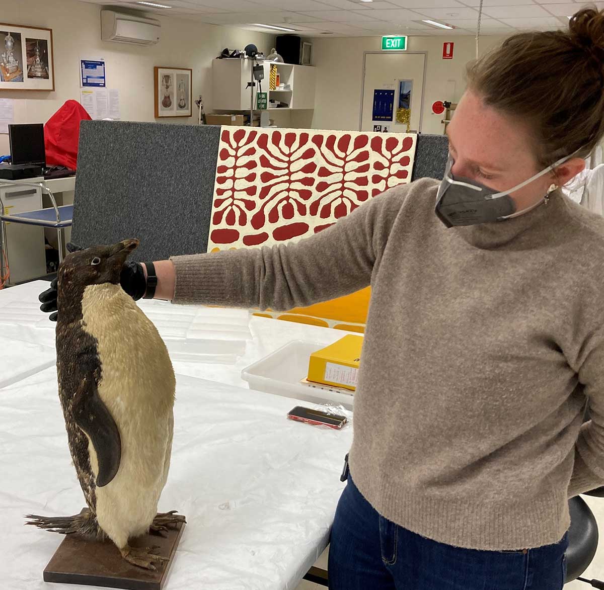 A woman in a laboratory wearing PPE surveys a taxidermy penguin. - click to view larger image