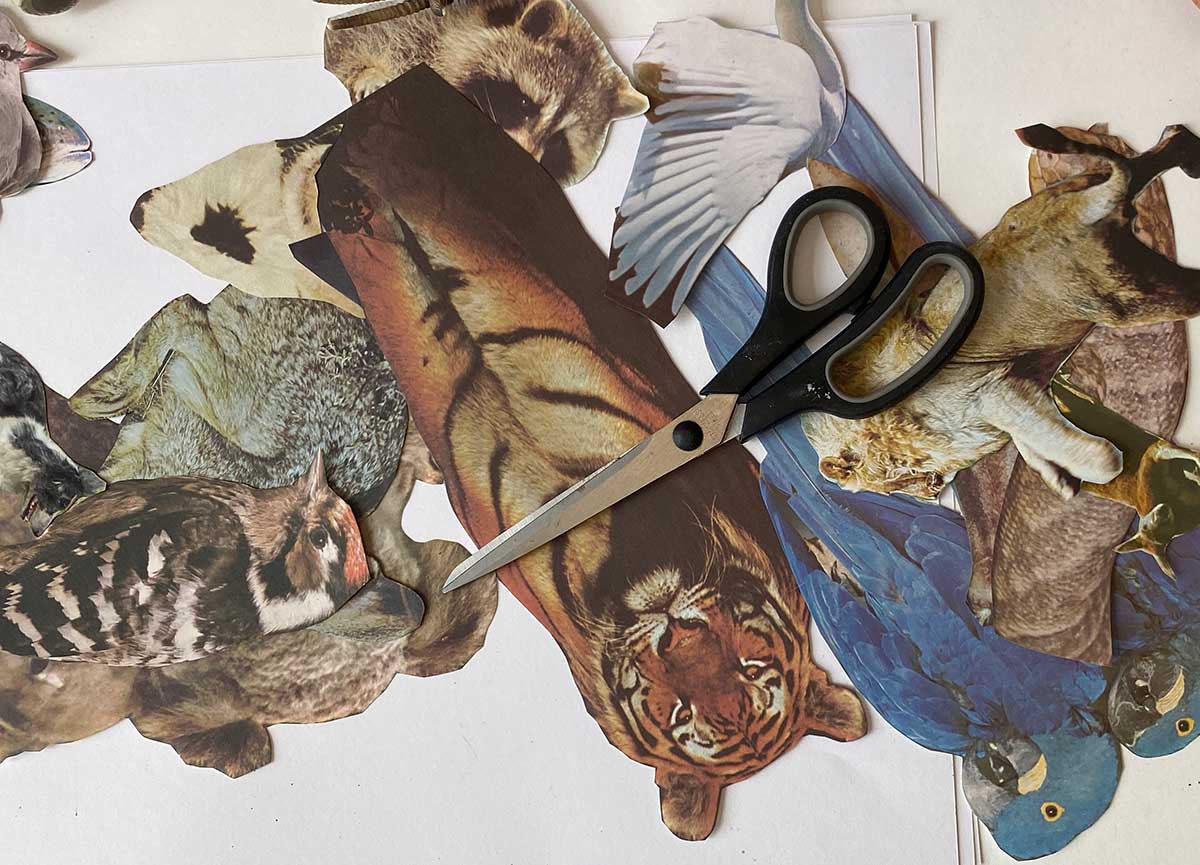 Images of various animals cut from paper, alongside a pair of scissors.